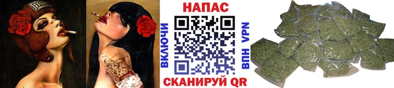 Где купить наркоту Новопавловск ЭКСТАЗИ  АМФЕТАМИН  APVP  Гашиш  Cocaine  Канабис 