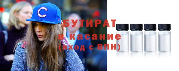 индика Аркадак