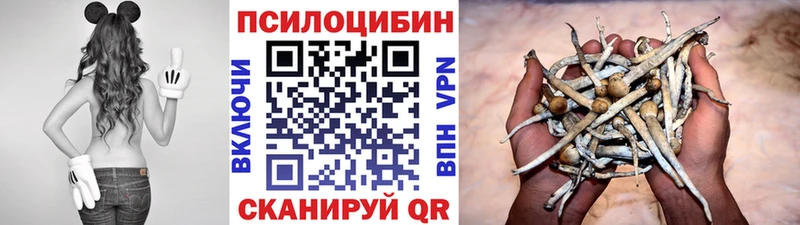 Псилоцибиновые грибы Psilocybe Новопавловск